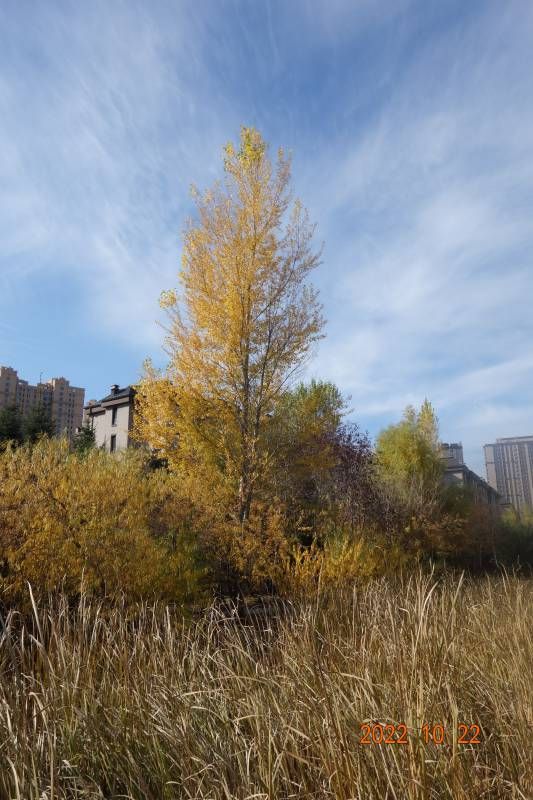 ΢��ͼƬ_20221023091149.jpg