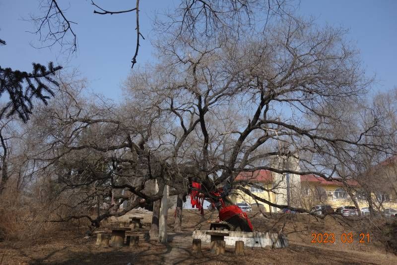 ΢��ͼƬ_20230321214151.jpg