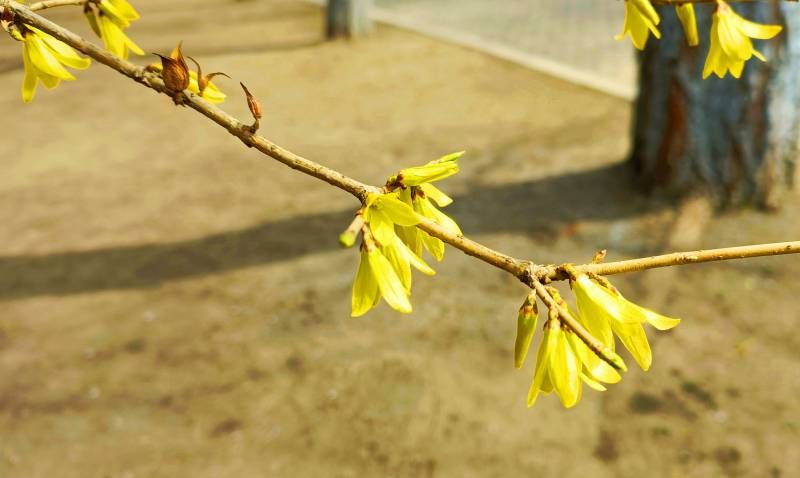 ΢��ͼƬ_20230404224041.jpg