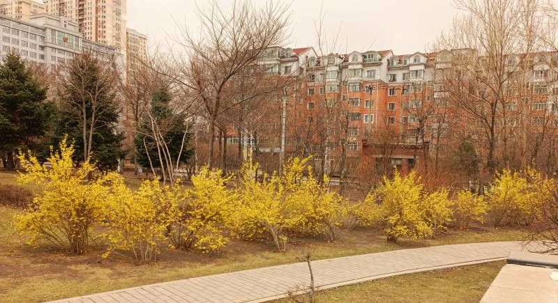 ΢��ͼƬ_20230411220100.jpg