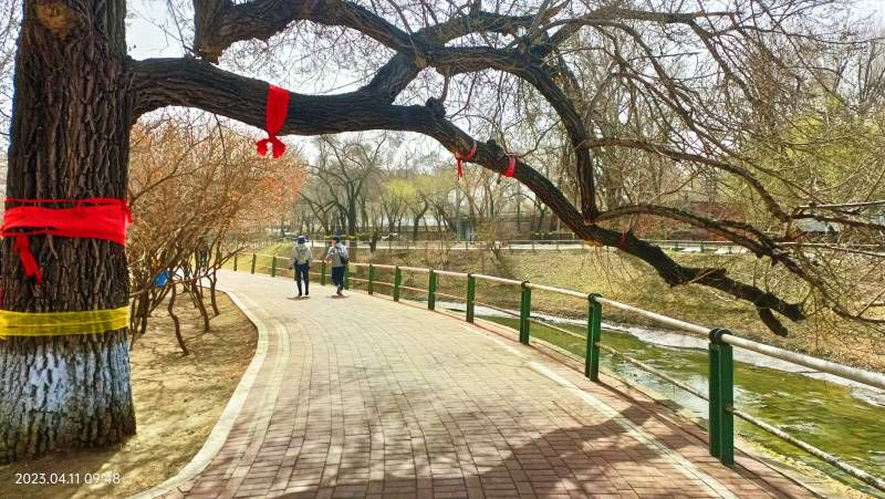΢��ͼƬ_20230411220231.jpg