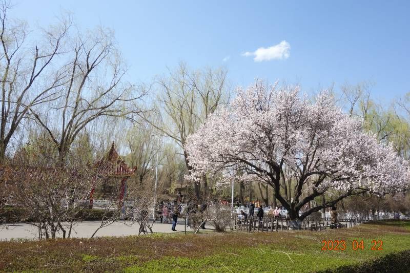 ΢��ͼƬ_20230422212612.jpg