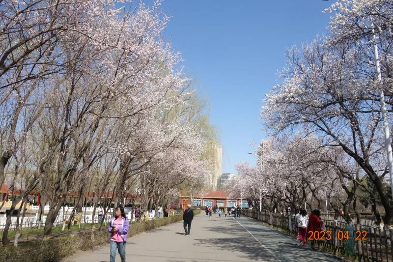 ΢��ͼƬ_20230422212431.jpg