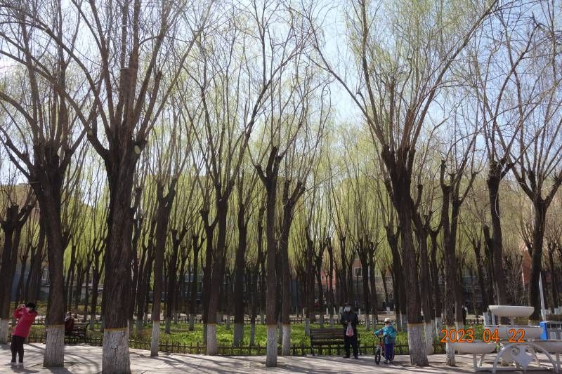΢��ͼƬ_20230422212530.jpg