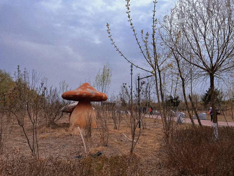 ΢��ͼƬ_20230425223118.jpg