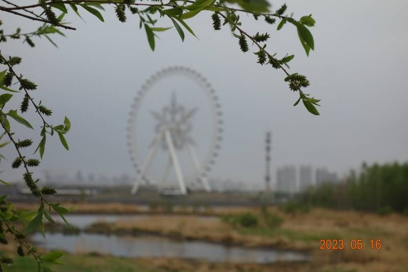 ΢��ͼƬ_20230516224959.jpg