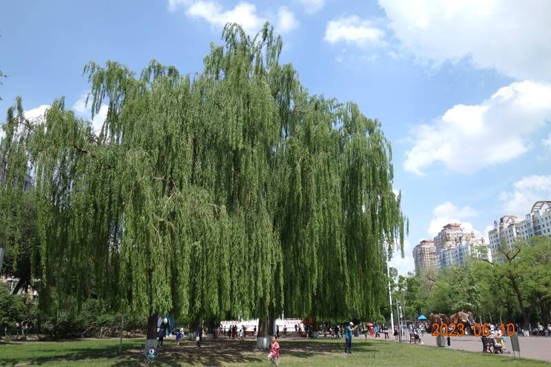 ΢��ͼƬ_20230610175459.jpg
