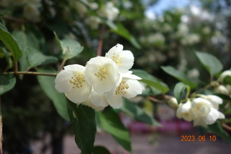 ΢��ͼƬ_20230610175520.jpg