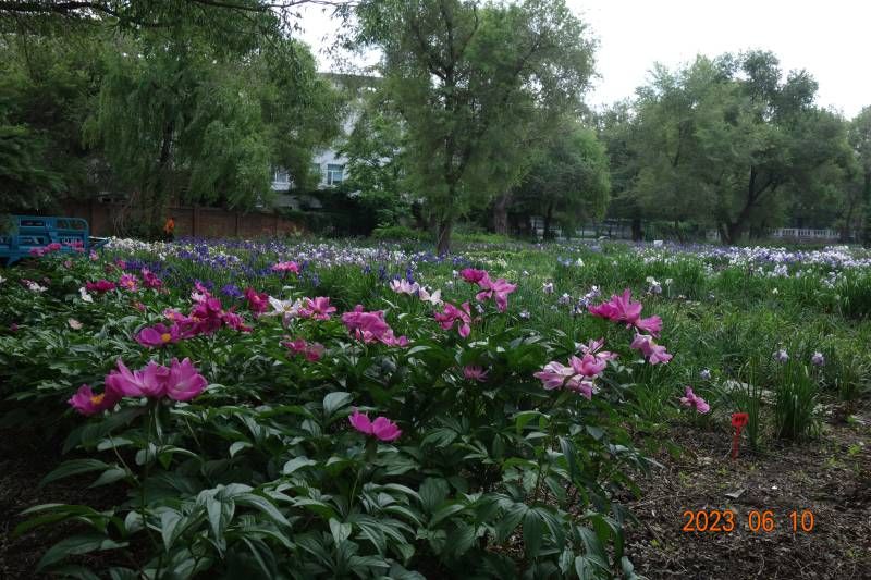 ΢��ͼƬ_20230610180019.jpg