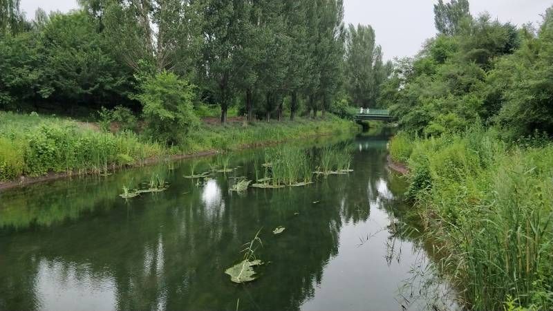 ΢��ͼƬ_20230704163022.jpg