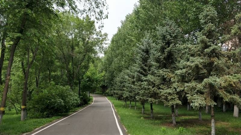 ΢��ͼƬ_20230704163133.jpg