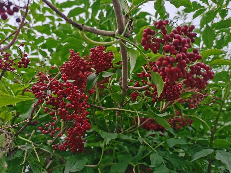 ΢��ͼƬ_20230708205448.jpg