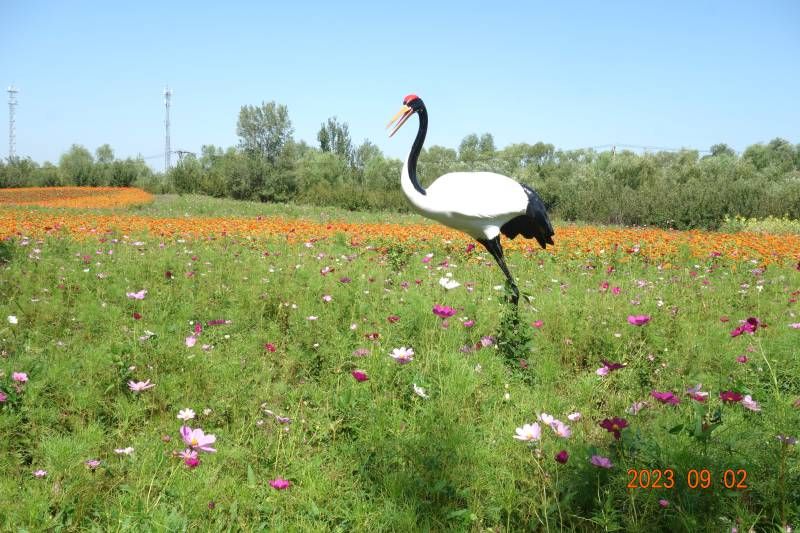 ΢��ͼƬ_20230902144908.jpg