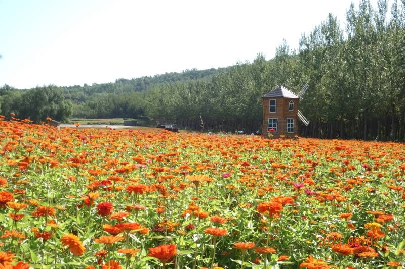΢��ͼƬ_20230902172330.jpg
