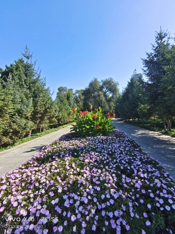 ΢��ͼƬ_20230905213904.jpg