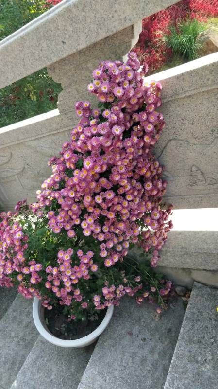 ΢��ͼƬ_20230916171754.jpg
