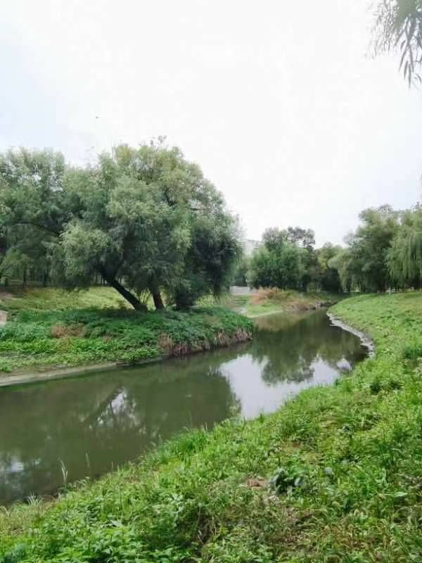 mmexport1696335325720 - ���Ŀ�ͼ��.jpg