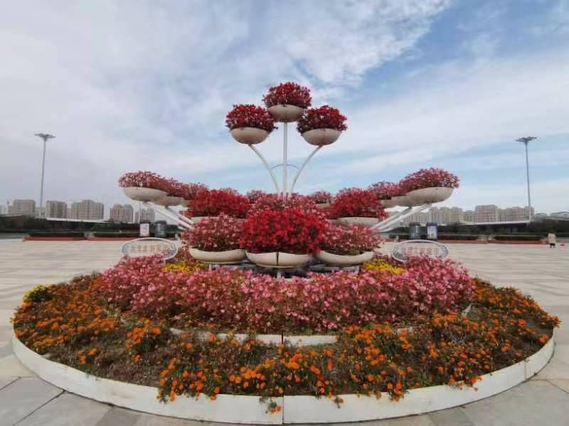 mmexport1696335376941 - ���Ŀ�ͼ��.jpg