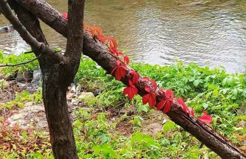 mmexport1696336639030 - ���Ŀ�ͼ��.jpg