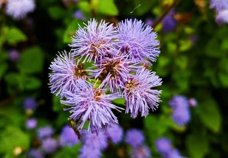 mmexport1696336704424 - ���Ŀ�ͼ��.jpg