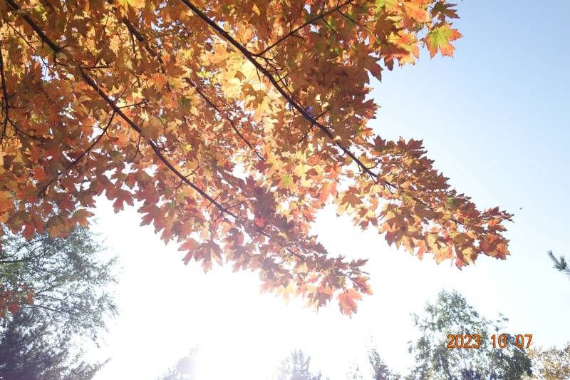 ΢��ͼƬ_20231007183817.jpg