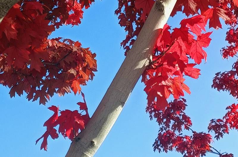 ΢��ͼƬ_20231007185516.jpg