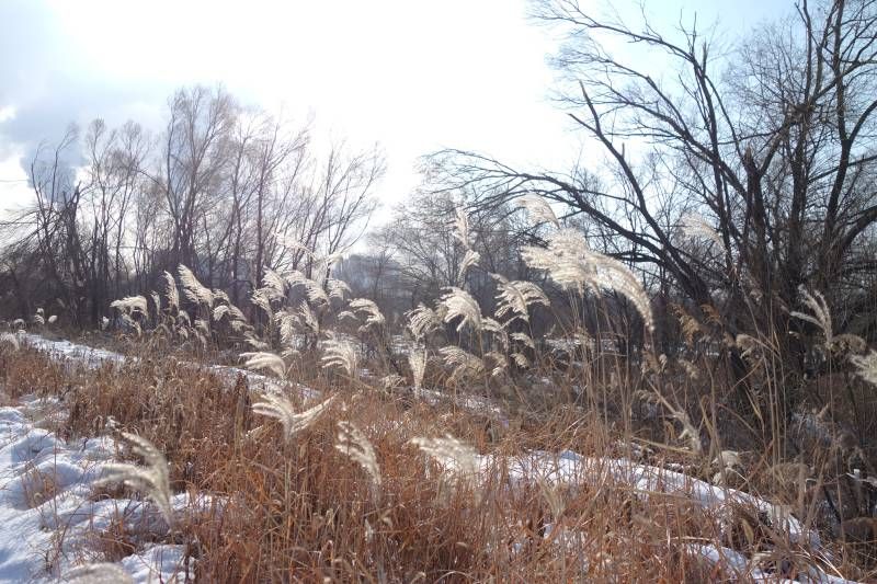 ΢��ͼƬ_20220118220836.jpg