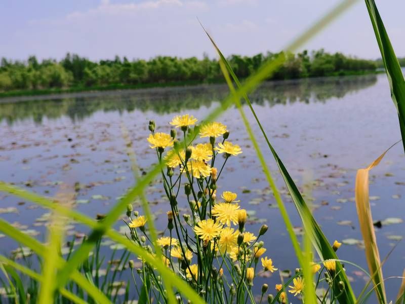 ΢��ͼƬ_20220611213359.jpg
