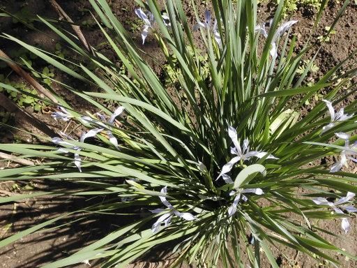 ������Сʱ��������