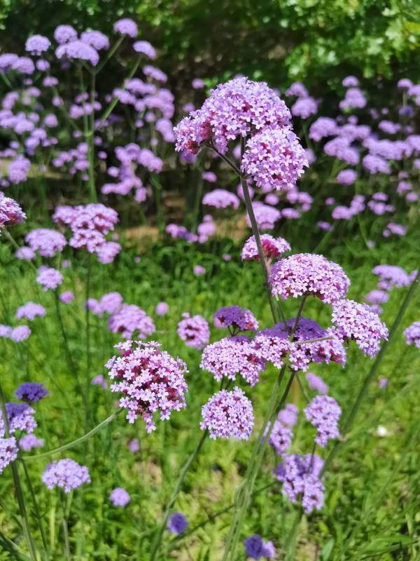 ΢��ͼƬ_20220723171019.jpg