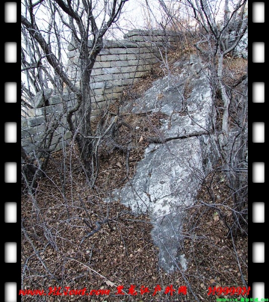 20081114_���۳���_098.jpg