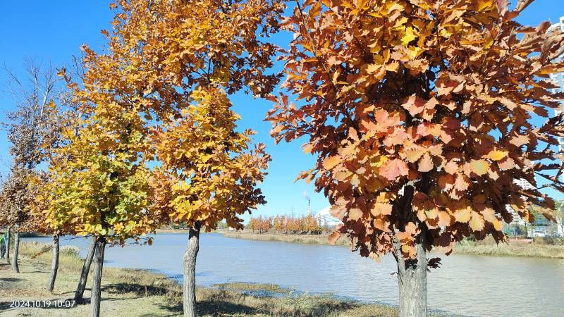 ΢��ͼƬ_20241019191029.jpg