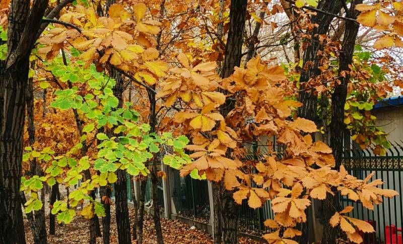 ΢��ͼƬ_20241023093349.jpg