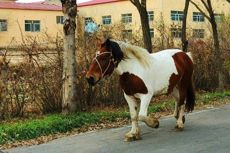 ΢��ͼƬ_20241023093214.jpg