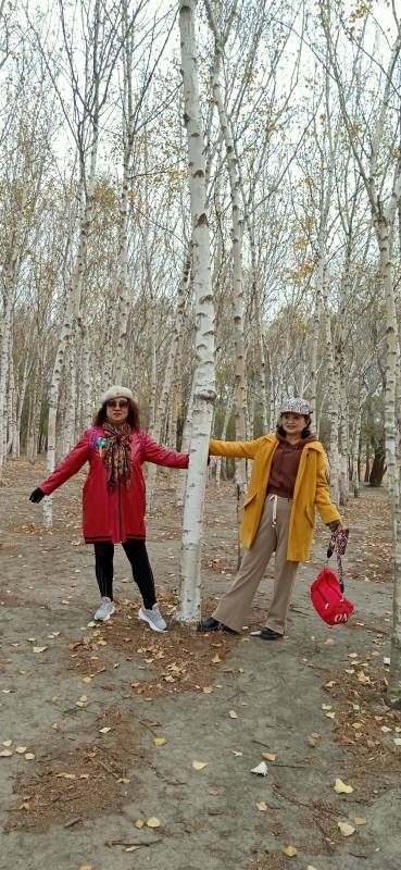 ΢��ͼƬ_20241026180211.jpg