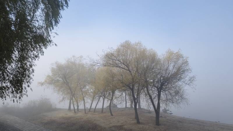΢��ͼƬ_20241102161038.jpg