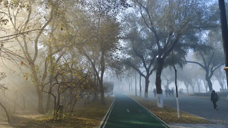 ΢��ͼƬ_20241102161142.jpg