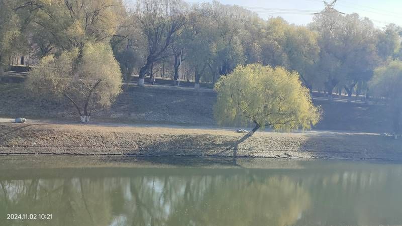 ΢��ͼƬ_20241102161442.jpg