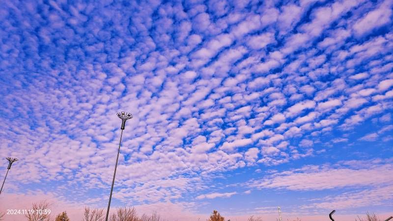 ΢��ͼƬ_20241119152328.jpg