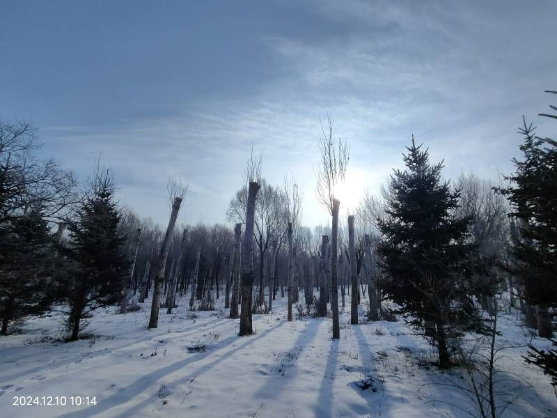΢��ͼƬ_20241210141203.jpg