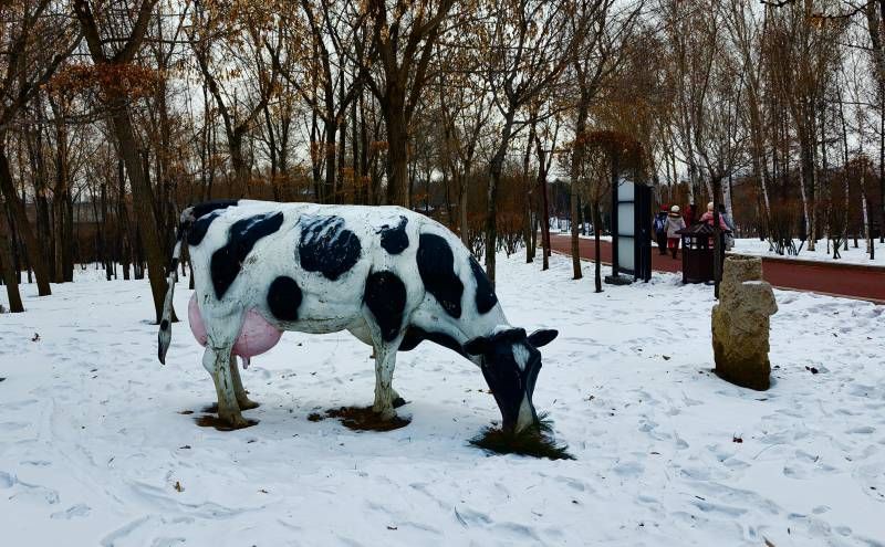 ΢��ͼƬ_20241228164229.jpg