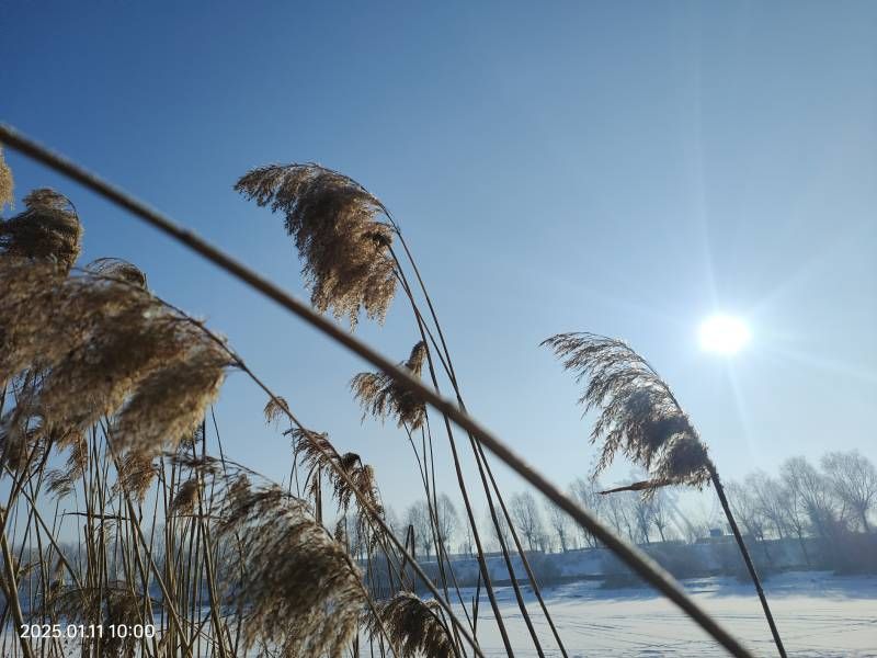 ΢��ͼƬ_20250111213900.jpg