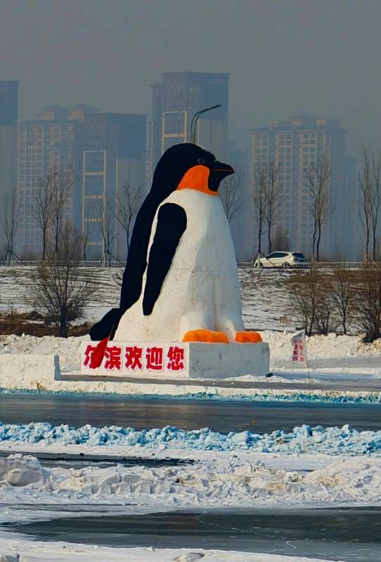 ΢��ͼƬ_20250121220754.jpg