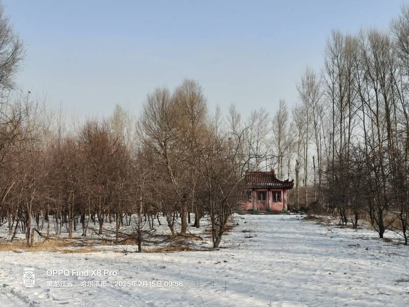 ΢��ͼƬ_20250215203734.jpg