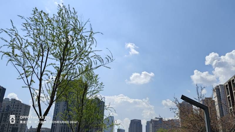 ΢��ͼƬ_20250506152158.jpg