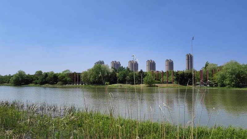 ΢��ͼƬ_20250527164645.jpg