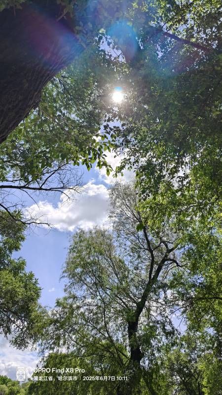 ΢��ͼƬ_20250607224334.jpg