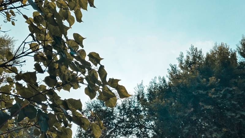 ΢��ͼƬ_20250701203715.jpg