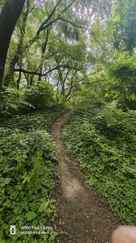 ΢��ͼƬ_20250708212301.jpg