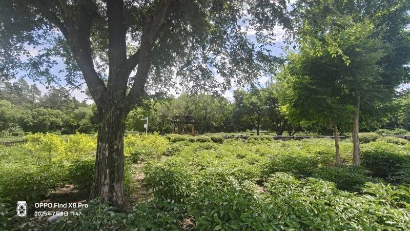 ΢��ͼƬ_20250708212606.jpg